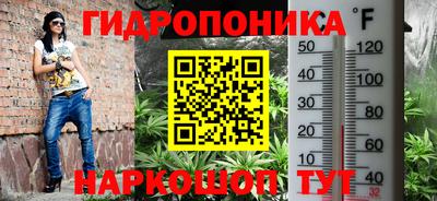 прущая мука Аргун