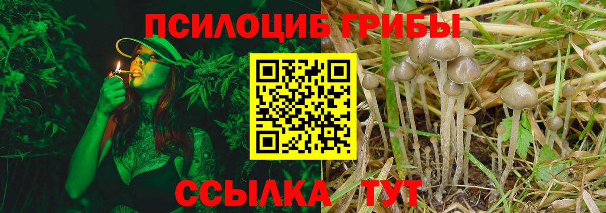 Псилоцибиновые грибы прущие грибы Богородск